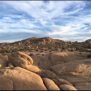 Meet your Posher, Dillon